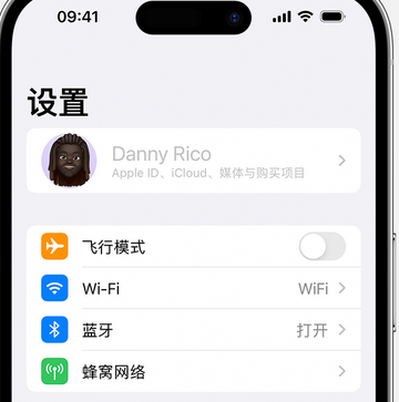 绿园appleID维修服务iPhone设置中Apple ID显示为灰色无法使用 