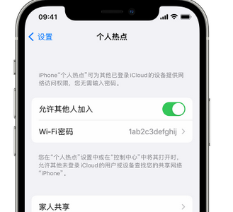 绿园apple服务站点分享iPhone上个人热点丢失了怎么办 