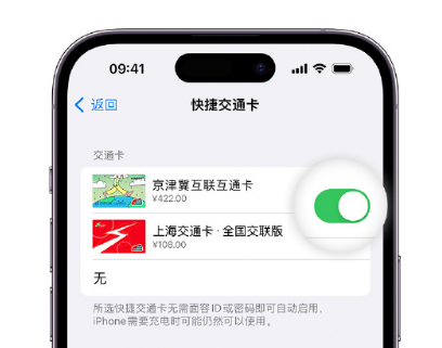 绿园apple维修点分享iPhone上更换Apple Pay快捷交通卡手绘卡面 