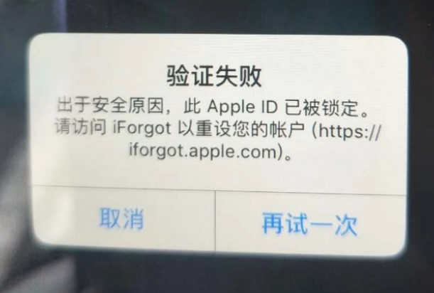 绿园iPhone维修分享iPhone上正常登录或使用AppleID怎么办 