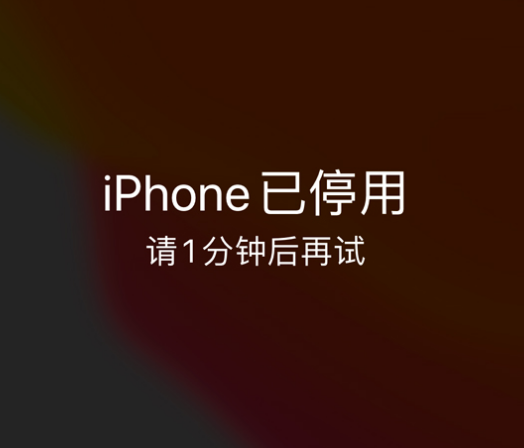 绿园苹果手机维修分享:iPhone 显示“不可用”或“已停用”怎么办？还能保留数据吗？ 