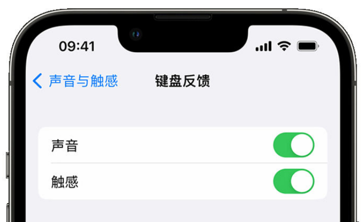 绿园苹果手机维修分享iPhone 14触感键盘使用方法 