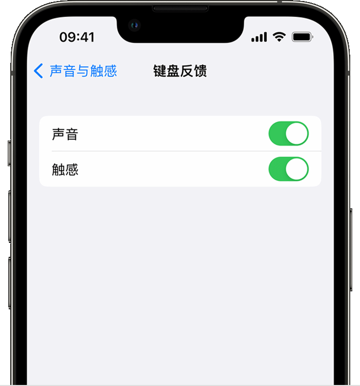 绿园苹果14维修店分享如何在 iPhone 14 机型中使用触感键盘 