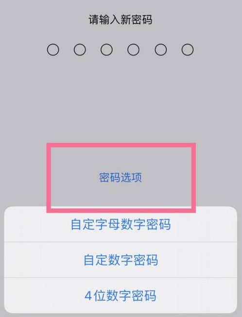 绿园苹果14维修分享iPhone 14plus设置密码的方法 