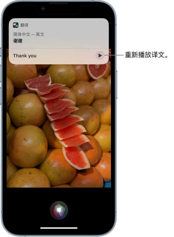 绿园苹果14维修分享 iPhone 14 机型中使用 Siri：了解 Siri 能帮你做什么 