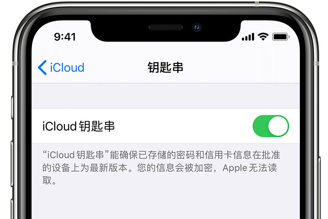 绿园苹果手机维修分享在 iPhone 上开启 iCloud 钥匙串之后会储存哪些信息 