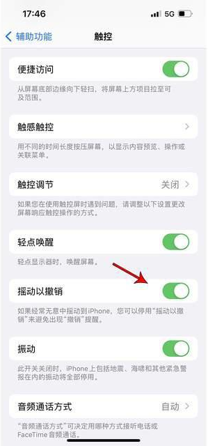 绿园苹果手机维修分享iPhone手机如何设置摇一摇删除文字 