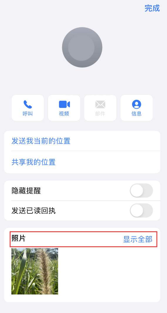 绿园苹果手机维修分享如何快速查找 iMessage 信息中的图片等附件 